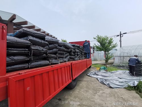 seek生物炭基肥助力國(guó)家重點(diǎn)研發(fā)計(jì)劃項(xiàng)目實(shí)施