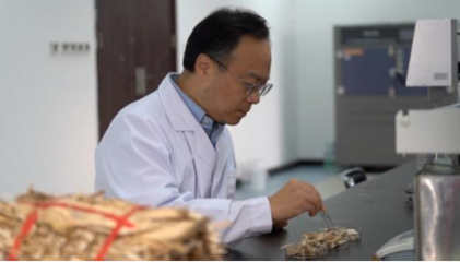 秸稈變地膜?生物基材料迎風(fēng)口!