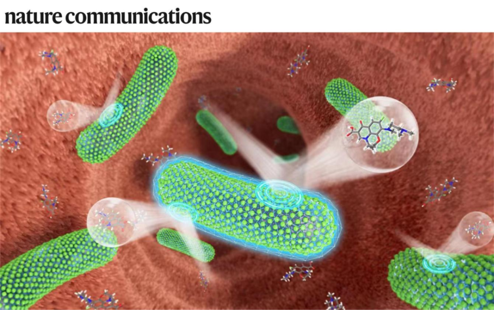 專訪郭俊凌丨川大/哈佛團(tuán)隊(duì)合作開(kāi)發(fā)植物多酚納米材料,可保護(hù)益生菌免受抗生素殺傷,相關(guān)LBP活體生物藥計(jì)劃推進(jìn)臨床I期