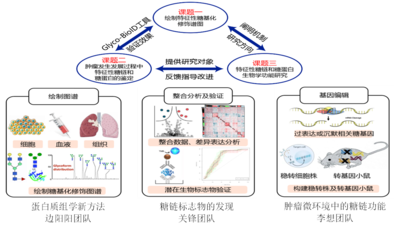 我校5人獲省杰青項(xiàng)目資助、4支團(tuán)隊(duì)入選省重點(diǎn)科技創(chuàng)新團(tuán)隊(duì)