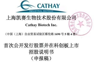 凱賽生物IPO:存在安全生產(chǎn)風(fēng)險(xiǎn),曾深陷專(zhuān)利糾紛,票據(jù)流轉(zhuǎn)、轉(zhuǎn)貸等違規(guī)不斷