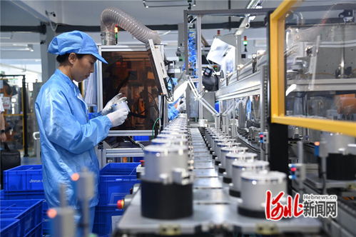 廊坊 多向發力 激發民營經濟活力