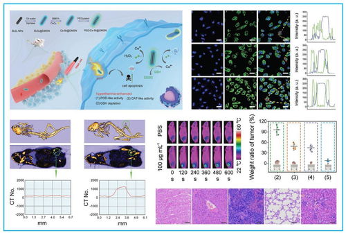學校獲多項黑龍江省科學技術(shù)獎