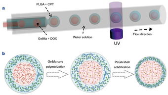 生物材料的多樣性和dds設(shè)計(jì) 藥物傳遞系統(tǒng) 專(zhuān)刊圖文詳解
