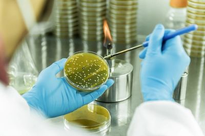 戰(zhàn)新產(chǎn)業(yè)&ldquo;百大工程&rdquo;|招商局集團(tuán)領(lǐng)航生物基聚酰胺創(chuàng)新突破 打造生物經(jīng)濟新引擎