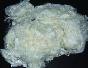 一文看懂國內生物基纖維產業(yè)發(fā)展現狀