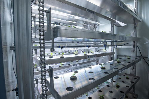 ai技術真的能讓農(nóng)業(yè)不再 靠天吃飯 嗎