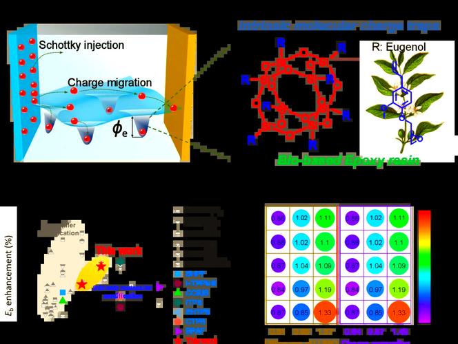 中科院寧波材料所劉小青團(tuán)隊(duì)研發(fā)環(huán)保型電工環(huán)氧樹(shù)脂