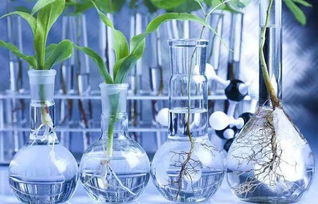 無(wú)處不在的化學(xué) 生物基材料技術(shù)研發(fā)的機(jī)遇與挑戰(zhàn)