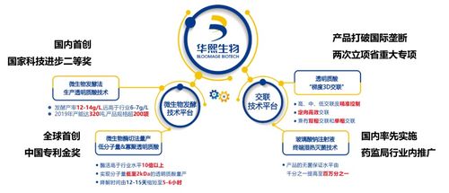 拒糖主義興起 氣泡水與玻尿酸聯手，生物基材料技術研發迎勢而上