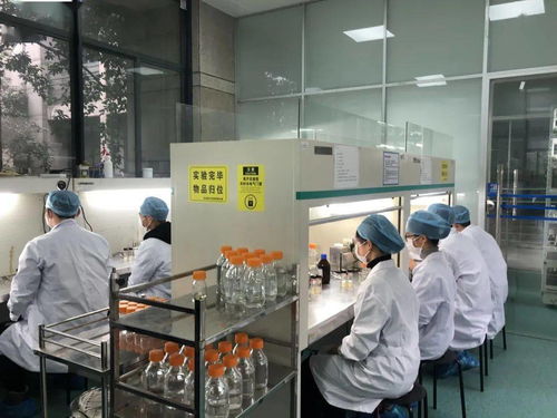 生物選考沖刺提分秘籍 高中生物實驗訓練營寒假開啟，助力未來生物基材料技術研發