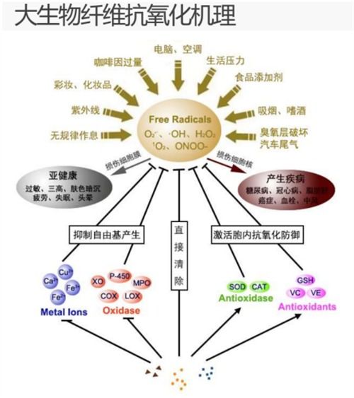 大生物纖維 點(diǎn)燃中國紡織業(yè)變革與山東新舊動能轉(zhuǎn)換的燎原之火